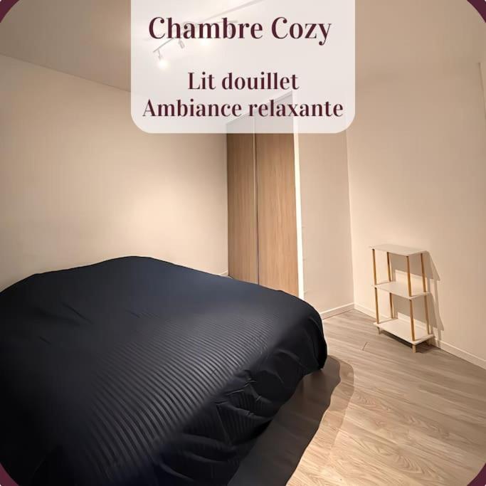 Appartement 2 Pieces Rdc En Duplex Vue Cour Parking Gratuit A 20Metres Roanne Exteriér fotografie